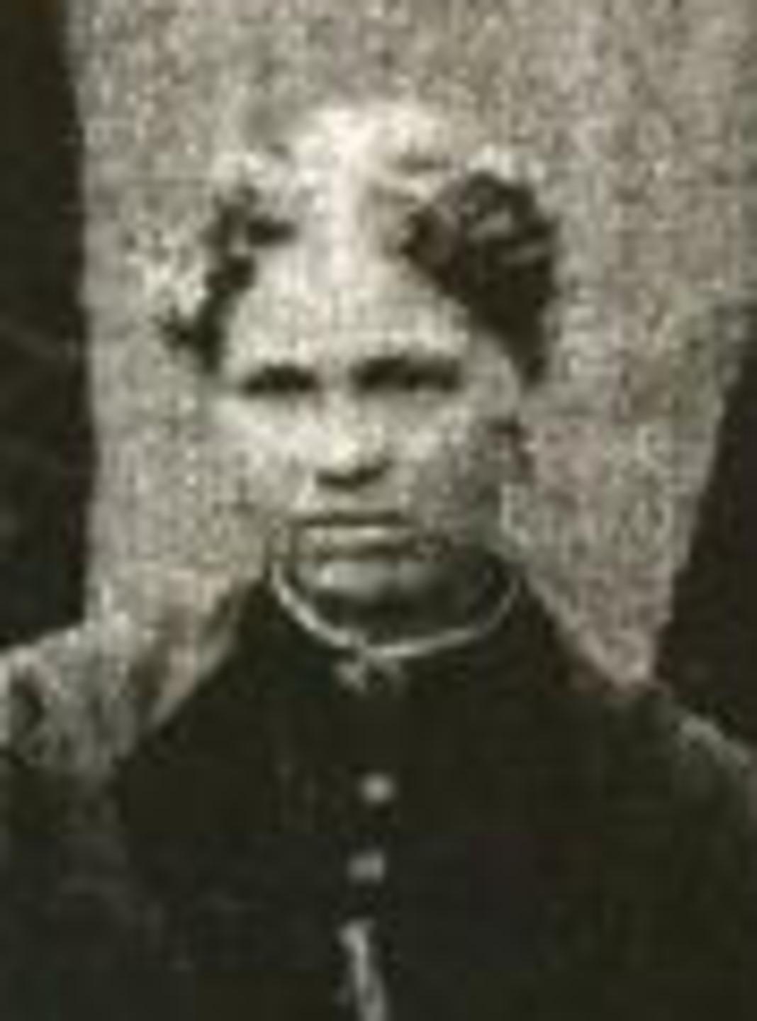 Elizabeth Hannah Tomlinson (1863 - 1945) Profile